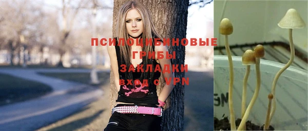 дживик Заводоуковск