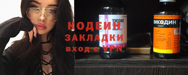 дживик Заводоуковск