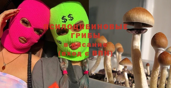 твердый Заволжск